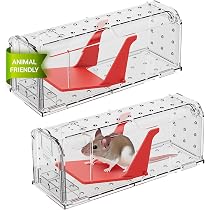 Laine Acier Anti Rongeur Yixinly Laine D'Acier 10M - Anti-rongeurs 0000 - Pour Aérations, Trous, Polissage Et Isolation Isolation Contre Rats Souris