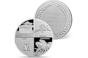 AtSKnSK Moneda estoica de las virtudes cardinales de fuego castillo de la llama rosa de la calavera moneda AA chips medallones regalos de sobriedad para hombres y mujeres regalos para alcohólicos