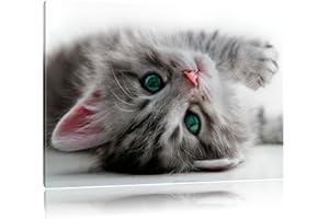 Pixxprint chaton Sweet, Format: 80x60 sur toile