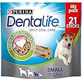 dentalife amazon