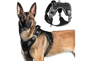 rabbitgoo Pettorina Cani Taglia Grande, Pettorina per Cani Anti-Tiro Regolabile con Manici Allargati, Robusta e Resistente all'Usura, Pettorina Tattica per Cani con Fibbie in Metallo(XL, Nero)