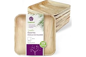 GoBeTree Assiettes Jetables en Feuille de Palmier, 25 Assiettes carrées de 24 cm pour Barbecues, Pique-niques, Similaires au Bambou, Plus Résistantes que les Assiettes en Papier