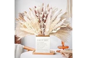 LZGS GO SWING BANDS Flores secas Decoracion Pampas Secas Decoracion Ramo Flores Secas Naturales DIY Ideal para Salón Boho Dormitorio Jarrones (LZGSGO-0107)