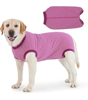 Beruhigendes Hundehalsband 4-teilig - Langzeit Entspannung Für ängstliche Hunde