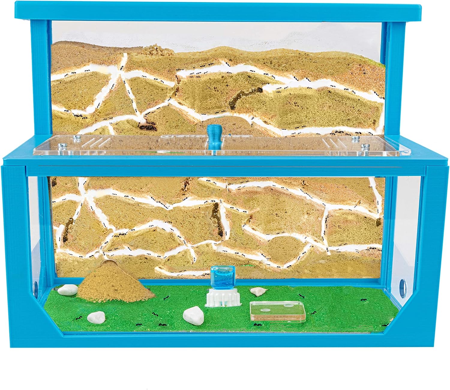 Anthouse.es - Hormiguero Natural de Arena - Kit Hormiguero 3D Forma de L (Sándwich + Caja de Forrajeo) - Granja de Hormigas con Colonia de Hormigas Incluida - 25x20x1 cm y 10x24x10 cm - Azul