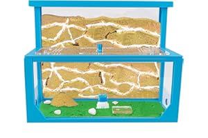 AntHouse - Natural Sand Ant Farm | Kit L (Sandwich + Forage Box) | 3D Ant Hill | Colour Blue