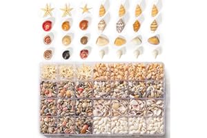 WANWANZI 60 estrellas de mar y 1600 conchas marinas pequeñas, 5 tipos de conchas marinas naturales para decoración del hogar, decoración de velas, tanque de peces y relleno de jarrón de playa para manualidades