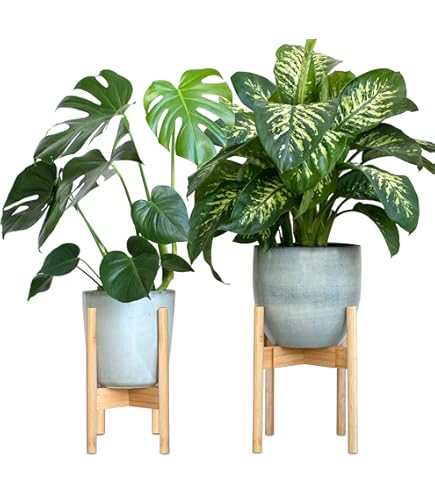 Bamworld Muur Plantenbak Hangende Plantenrekjes voor Binnenplanten Raam Plantenplank Wand Decoratie Zwart 3 Stuks