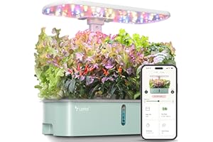 LetPot LPH-Air Hydroponics Growing System Kits, APP & WiFi Controlled Smart Indoor Garden with 24W Grow Light Full Spectrum, 10 Pods Planter Indoor Gardening for Gifts, Kitchen, Vegetable (Green)