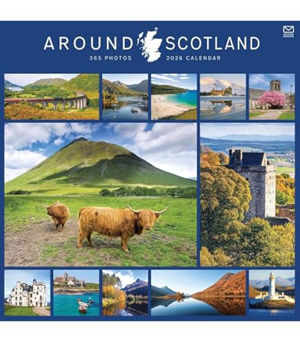 Scotties 2026 Wall Calendar By Willow Creek Press, 9781549252693 | Buy Online At The Nile