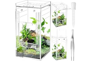 Windspeed Acrylic Spider Terrarium Box, 360° View, Magnetic Door, Ideal for Jumping Spiders, Lizards, Geckos