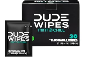 DUDE WIPES Lingettes jetables - Lingettes humides emballées individuellement pour le voyage - Parfum menthe fraîche avec vitamine E et aloès - 30 pièces en déplacement