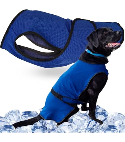 Bandana Rinfrescante Per Cani Lautus - Collare Refrigerante Per Estate, Anti Surriscaldamento - Foto 10