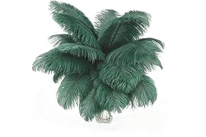 Fenisonavy Naturliga strutsfjädrar 10 st 35–40 cm högkvalitativa fjädrar manuellt sorterade för gör-det-själv heminredning kvällar och shower