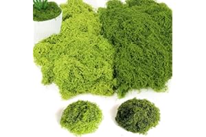 BITOYO 200g Mousse Artificielle, Fausse Mousse Végétale Decorative, 100g Vert Foncé et 100g Vert Clair Mousse Stabilisée pour Artisanat Modelage Mur Terrarium Décoration D'intérieur Noël Pâques Mariage
