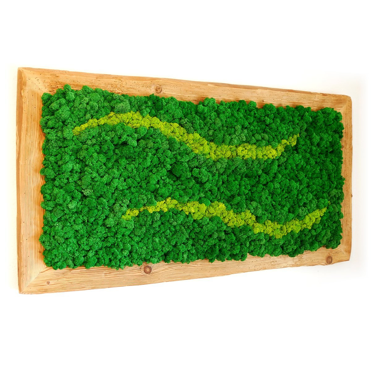 Moosly® Moosbild Zahl 3 - Selbstklebende 3D Holzzahl Mit Echtem Islandmoos, Made In Germany