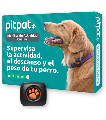 Localizador GPS Para Perros Sin Cuota - Compatible Solo Con Android, Collar Ajustable M (38-45 Cm), Impermeable IP66