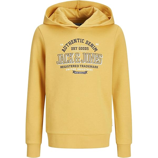 Jack & Jones Junior JJKAM VARSITY BRANDING HOOD - Sweat à capuche - sky