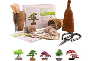 GARDEN COLISEUM Bonsai Tree KIT - Grow Your OWN Bonsai Trees from Seeds - Sustainable ECO Gardening Gift Set + Tool KIT. 5 Seed Varieties Germination Starter KIT - Great Gift IDEA for Women & Men. Beginner-Friendly