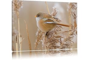 PIXXPRINT petit oiseau sur le blé Toile, XXL photos complètement encadrée avec de grandes images de coin, art impression sur la photo murale avec cadre, moins cher que la peinture ou une peinture à l'huile, pas une affiche ou bannière