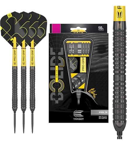 Fléchettes Raymond Van Barneveld Gen6 - 95% Tungstène, Pointes Swiss Chrono, Ailettes K-Flex (21G/23G/25G)