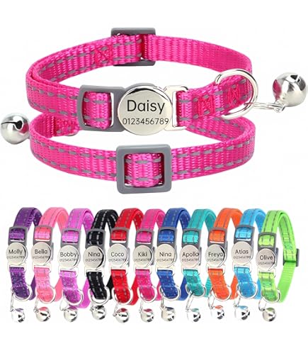 Gepersonaliseerde kattenhalsband, nylon losloopveilig katten-ID-halsband geborduurd met huisdiernaam en telefoonnummer, verstelbare halsband met bel (losloopveilig gesp