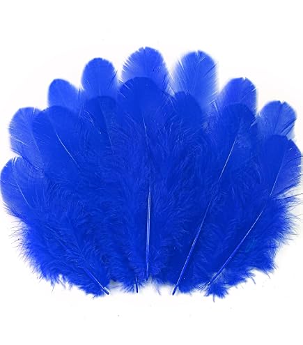 SNBUHA 300 Pièces Plumes Noires, Duveteuses Plume Naturelle, Plumes Décoration pour Mariage, Maison, DIY Dreamcatcher, Loisirs Créatifs et Fête d'halloween (8-11 cm/3.15-4.33 in, Noir SNBUHA 300 Pièces Plumes Noires, Duveteuses Plume Naturelle, Plumes Décoration pour Mariage, Maison, DIY Dreamcatcher, Loisirs Créatifs et Fête d'halloween (8-11 cm/3.15-4.33 in, Noir