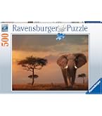 Puzzle 1000 Teile Elefant & Papagei Im Regenwald – 70x50 Cm, Mit Poster – Für Erwachsene & Kinder