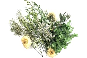 QZKJQDD Natural Dried Flowers, Real Dried Flowers, Dried Flowers for Resin, Dry Flowers for Decoration, Dried Flowers for Crafts, Candle, Soap Making, Resin, Scrapbooking, Cards Making (Green)