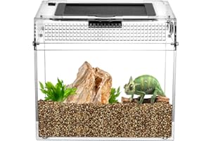 QWORK® Scatola per rettili, reptile growth pc terrario, 20 * 20 * 18 cm per una varietà di rettili e insetti
