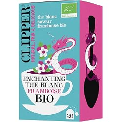 CLIPPER - Thé Vert Bio - 20 sachets de Thé Bio - 1 paquet : Amazon ...