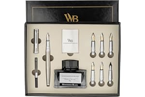 Wordsworth & Black Caligrafía Pen Gift Set, Incluye botella de tinta, 6 cartuchos de tinta, 1 convertidor, 6 plumas de recarga, paquete de primera calidad, Diario, [Plata Cromo]