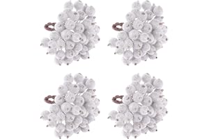 ‎TUPARKA TUPARKA 160pcs Silber Frosted Fruit Berry Holly Weihnachtsblumen Künstliche Blumen Berry Weihnachtsbaum Blumenschmuck, Weihnachten Tischkränze Blumendekoration (Silber Frosted)