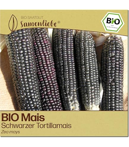 künstliche tannenzweige 10 cm lang 60 Stück künstliche Tannenzweige Adventskranz-Deko –  kunstblumenshop