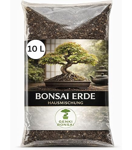 Garden & Outdoors Westland Bonsai Potting Soil Mixed and Enriched with  Seramis 4 Litre (Pack of 1) : Amazon.de: Garden