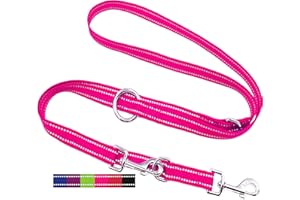 DEY - Premium Hundeleine Nylon 2m | Reflektierend | 3fach Verstellbar | für Kleine, Mittelgroße u. Große Hunde | viele Farben |Doppelleine Hund | Schleppleine | Führ-leine| Welpenleine | Pink Rosa, XS