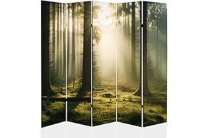 ‎FRAMED CONCEPT framed concept - Paravent Raumteiler Holz 225x172 cm, 5-teilig einseitig, Sichtschutzwand