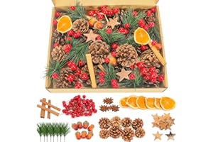 HOWAF Adventskranz Deko, 108 Stück Weihnachtskranz Deko Adventskranz Zubehör mit Rote Beeren, Zimtstangen, Getrocknet Orangenscheiben, Tannenzapfen, Eicheln, Tannenzweige, Sternanis, Birkensternen