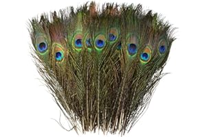 baotongle 30 pezzi piume di pavone naturali belle piume di coda di pavone occhi piume decorazioni per fai da te Embellishments decorazioni per la casa di nozze