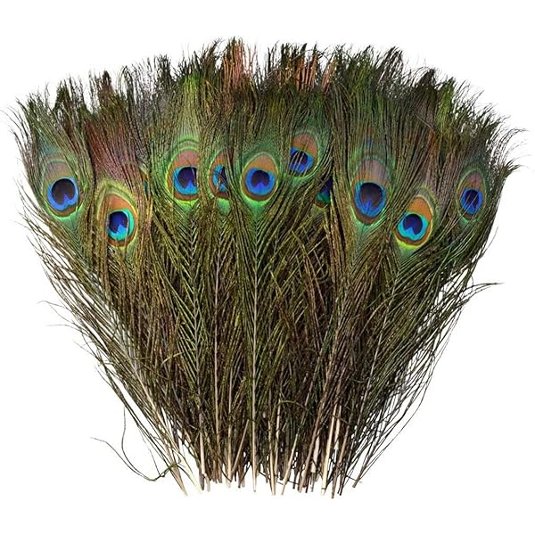 Costume Da Pavone Per Donne | Set 6 Pezzi Con Piume, Ciglia, Strass E Orecchini - Halloween E Carnevale - Foto 8