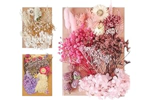 HAPHOME DIY Trockenblumen zum Basteln Getrocknete Blumen - 3 set Natürliche Dried Flowers for DIY Pressed Flowers Handgemachte Heimdekoration Hochzeit Scrapbook Zubehör Karten Machen