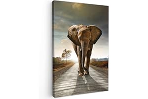 MuchoWow© Cuadros para Salon 80x120 cm Foto con Lienzo Canvas Laminas Cuadro Dormitorio Decoracion Hogar Pared Quadro Elefante - Carretera - Animales - Amanecer - Paisaje