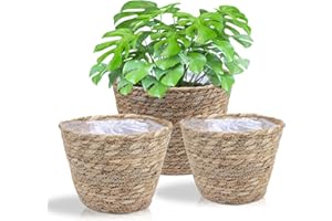 JNRFTY Set of 3 Braided Old Seagrass Hand-Woven Planters - Flower Pot, Plant Basket