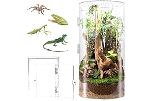 Biigdan Zylindrischer Terrarium, Vivarium, Acryl Terrarium Schnecken - 360° Panorama Reptilien Faunabox, für Springspinnen, Gottesanbeterin, Geckos, Schnecken, Laubfrösche, Käfer