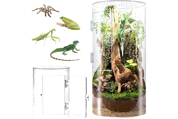 Biigdan Terrarium Cylindrique, Vivarium Transparent à 360° - Terrarium Phasme en Acrylique, Boîte d'Élevage pour Reptiles, Araignée, Escargots, Mante Religieuse, Lézard, Rainette, Coléoptère