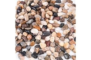 HAKACC 900g Flusskiesel Edelsteine，Kieselsteine Polierte zum Basteln Kleine Deko Steine für Vasen Pflanzen Garten Landschaftsbau Sukkulenten