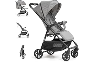 Interbaby - Silla de Paseo Voyage | Carrito Bebe desde Nacimiento hasta 48 meses o 22 kg | Botón Plegado rápido, Amortiguadores, Capota XXL Intercambiable, Reposabrazos | Cochecito bebe Gris