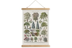 XIAOAIKA Affiche Botanique Vintage de Jardin - Poster Rétro des Arbres et Plantes avec Cadre en Bois, Décoration Murale Élégante pour Intérieur, Style Classique Français, 40 x 58 cm