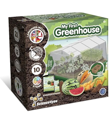Albert Kit Blob Vivant - Expérience Scientifique Enfant Dès 5 Ans - Réveil Garanti En 24h - Cadeau éducatif
