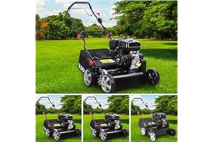 BRAST scarificateur thermique 208cc 6,12CV Motor 4 temps, largeur de travail 42cm - 4 MODÈLES diff. puissances - jusqu`à 2000m², accélérateur, bac 50l, carter robuste en metal, émousser gazon - B&S